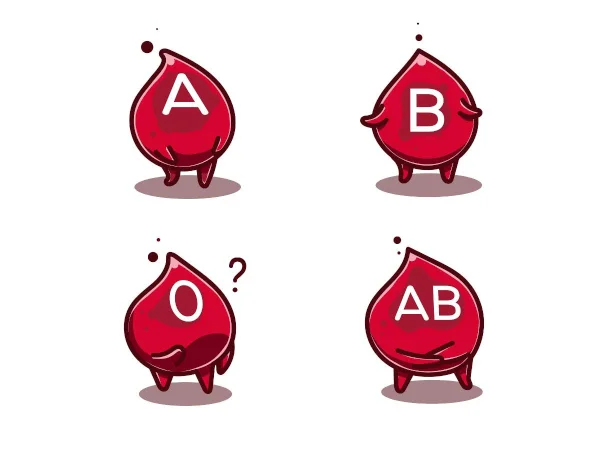 Nhóm máu được quy định bởi gen autosome với 3 alen là IA, IB, IO