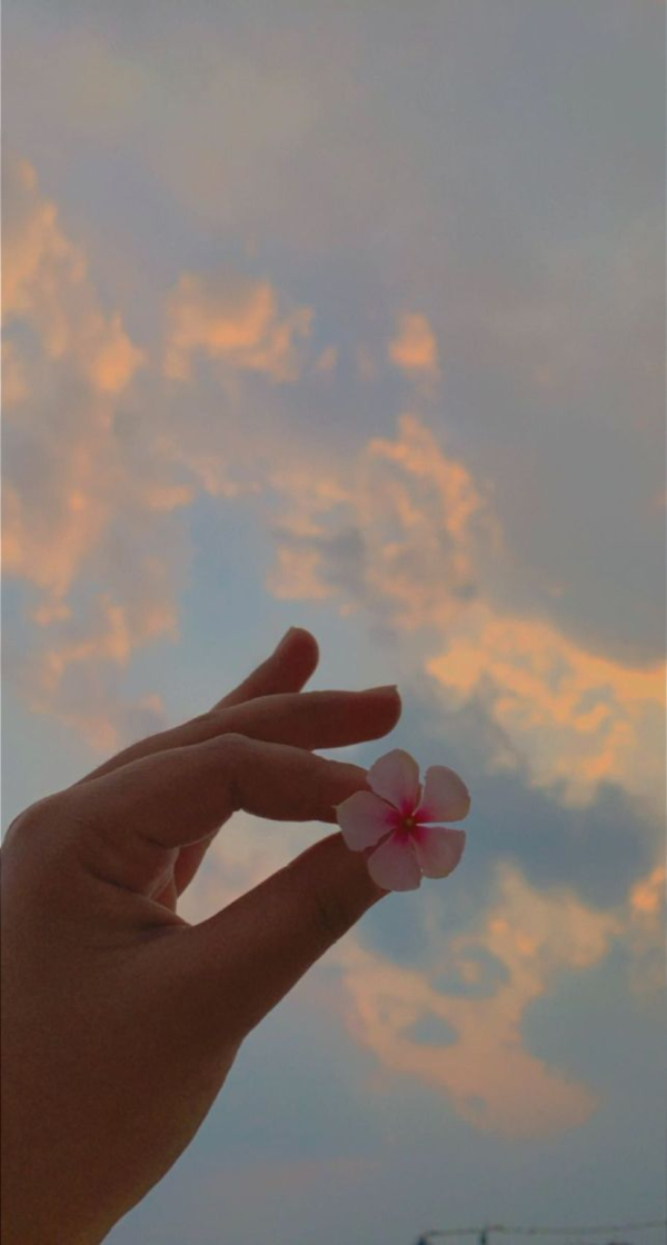 Tổng hợp 20+ hình ảnh bầu trời có tay cầm hoa đẹp