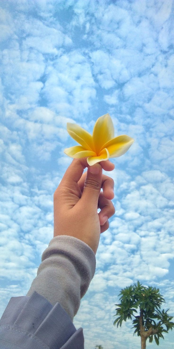 Bầu trời tay cầm hoa là biểu tượng của sự tươi vui và hạnh phúc. Hãy chiêm ngưỡng hình ảnh này để cảm nhận cảm giác nhẹ nhàng, thư giãn và đầy hy vọng. Các màu sắc tươi tắn và nét vẽ rõ nét sẽ khiến cho bạn có cảm giác như đang ở giữa thiên nhiên thật sự.