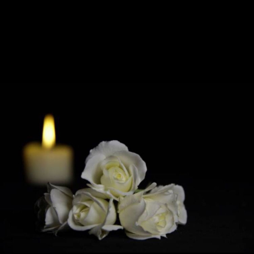 Hình ảnh buồn đám tang và hoa trắng
