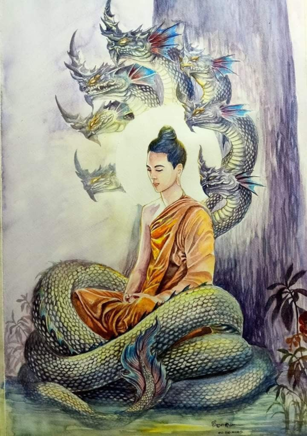 Hình ảnh Phật là tài nguyên tuyệt vời để giúp chúng ta tìm kiếm sự cân bằng và hạnh phúc trong cuộc sống. Hãy khám phá những bức tranh về Phật để cảm nhận rằng tình yêu thương và sự giác ngộ luôn hiện diện quanh chúng ta.