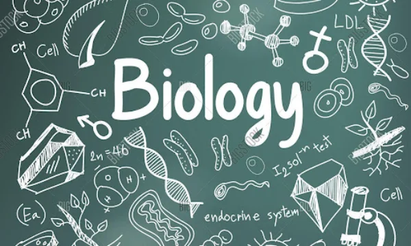 Bio còn là viết tắt của sinh học