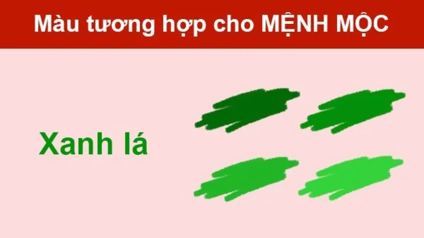 mau tuong hop menh moc