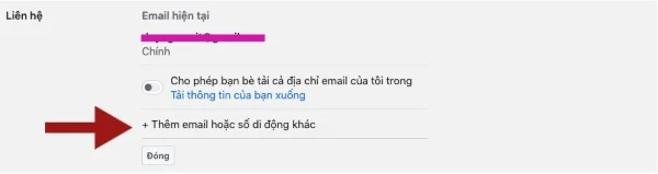 them email hoạc sdt thay the