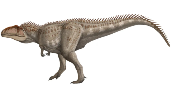 thằn lằn khổng lồ Giganotosaurus
