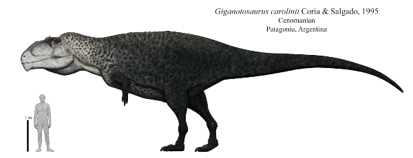 kích thước của Giganotosaurus