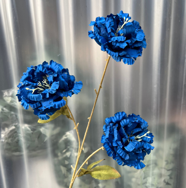 hoa cat tuong xanh lam