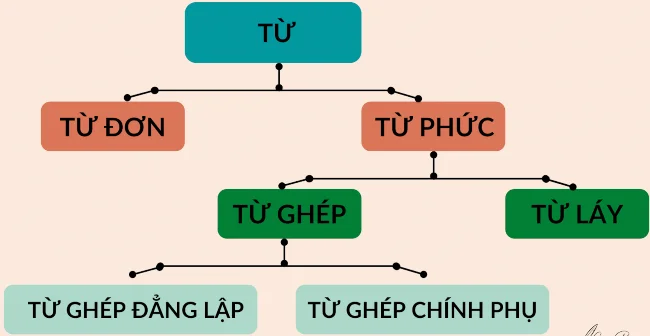 Phân loại từ trong cấu trúc tiếng Việt