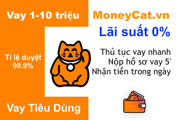 vay tien money cat