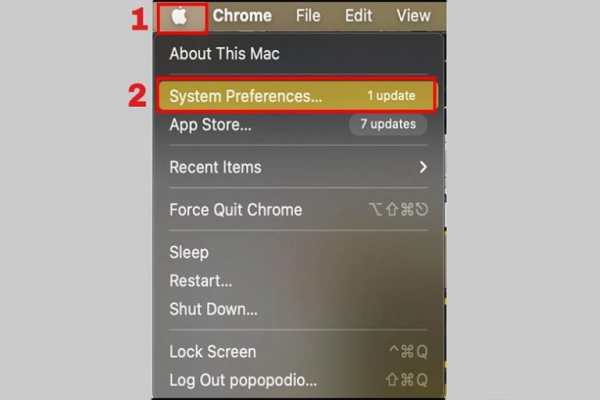 Go to System Preferences