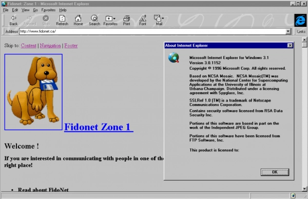 Internet Explorer 3