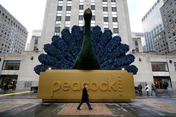 peacock