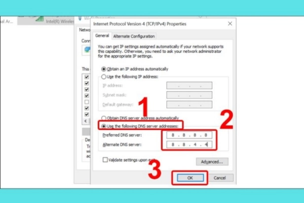 Use the following DNS server addresses