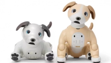 Aibo Celebrates Its 6th Birthday with the Adorable Kinako Edition