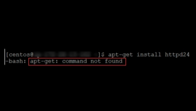 Fixing the "apt-get: command not found" Error on Linux