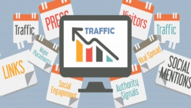 The types of websites with the highest traffic?