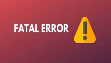 Causes of Fatal Error and Effective Solutions