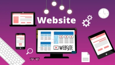 What is a Website? Basic Knowledge about Websites