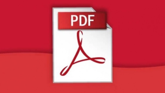 What is PDF