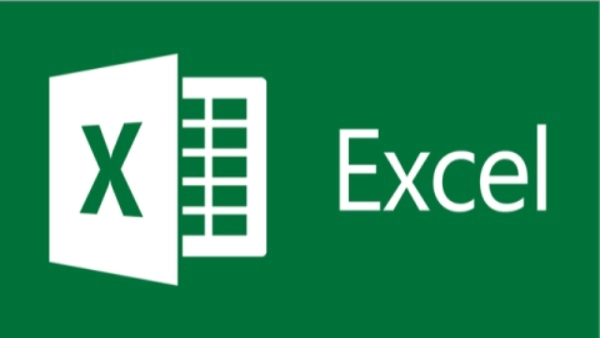 Basic Excel specifically for beginners