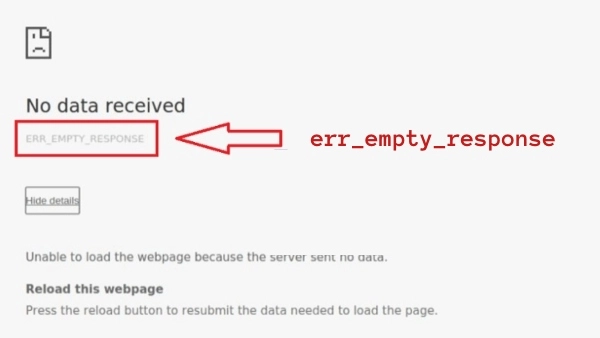 What is the Err_empty_response Error and How to Fix It Quickly