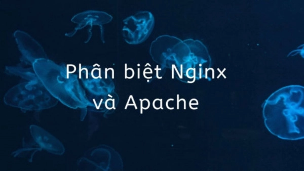 Differentiate between nginx and apache