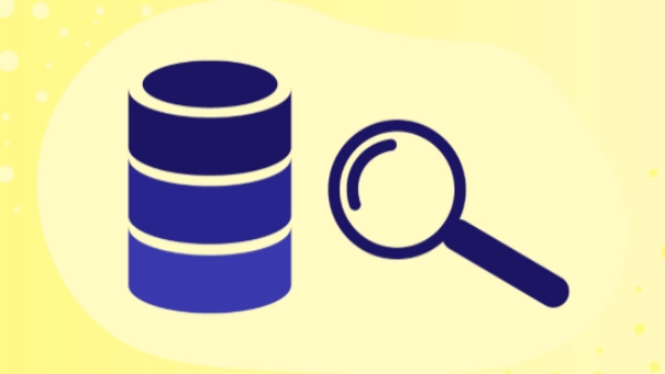 What is a Database Query? How to Query a Database