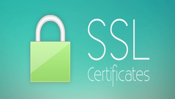 What is SSL? Why Does Every Website Need SSL?