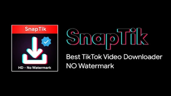 Guide to removing the TikTok logo using the SnapTik tool